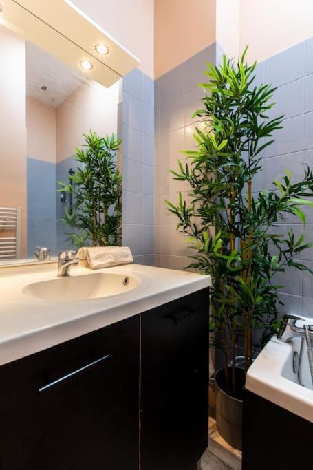 Confort Et Espace 12pers Centre Lamartine Apartment *